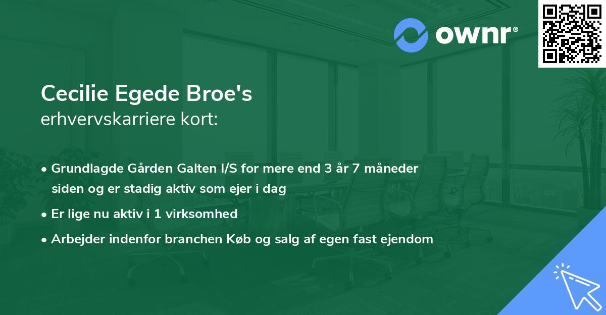 Cecilie Egede Broe's erhvervskarriere kort