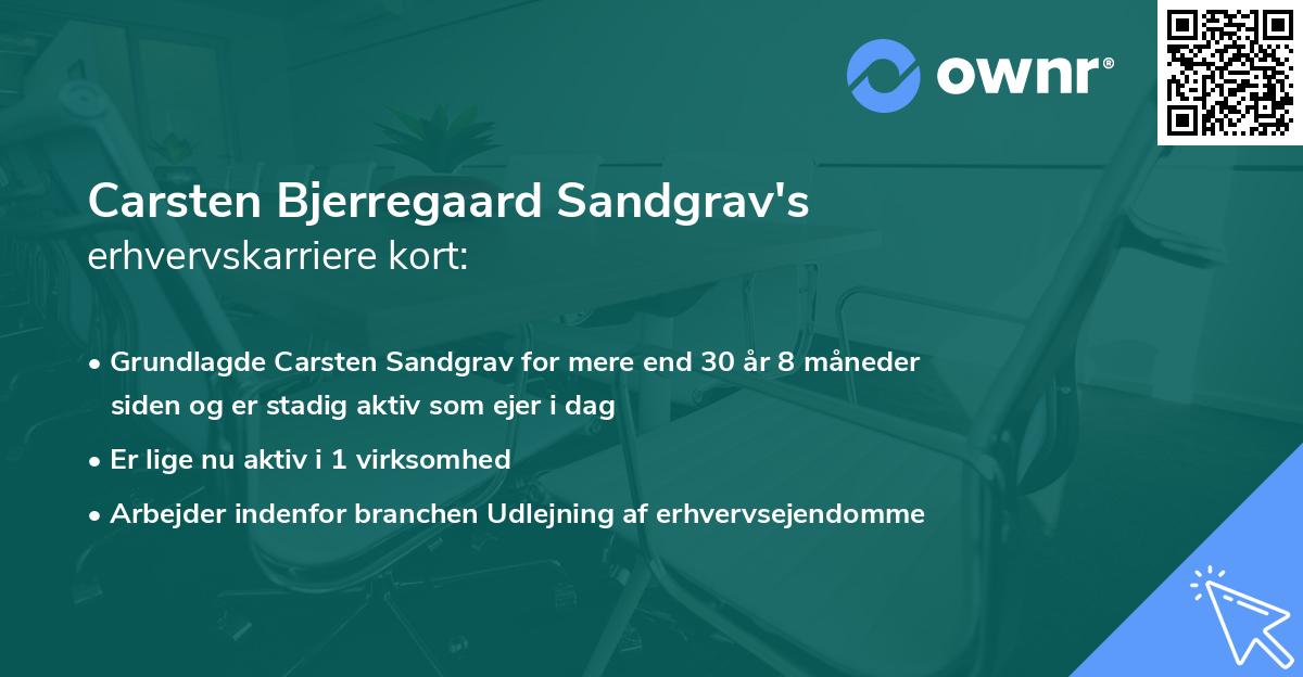 Carsten Bjerregaard Sandgrav's erhvervskarriere kort