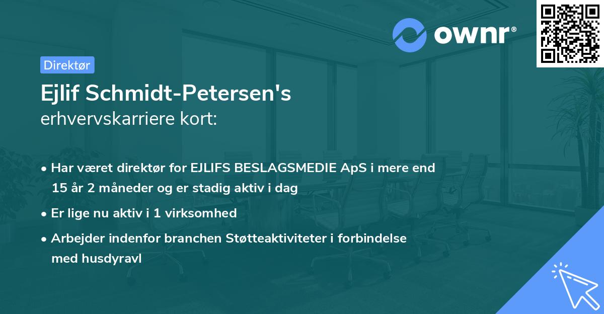 Ejlif Schmidt-Petersen's erhvervskarriere kort