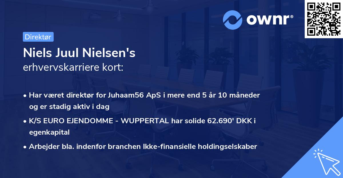 Niels Juul Nielsen's erhvervskarriere kort