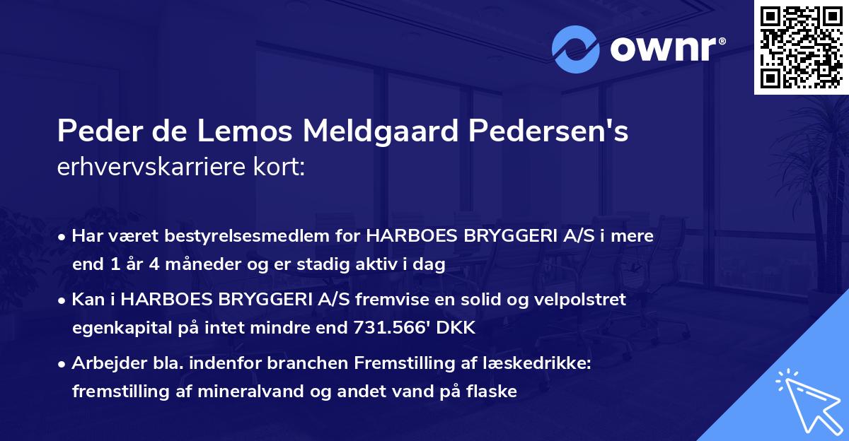 Peder de Lemos Meldgaard Pedersen's erhvervskarriere kort