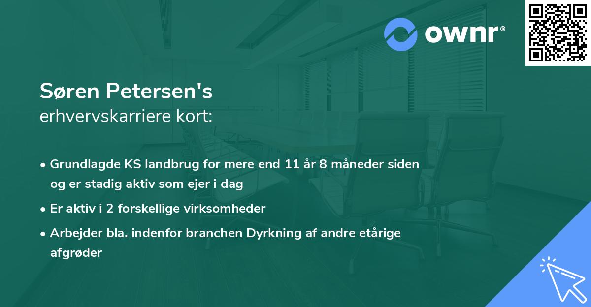 Søren Petersen's erhvervskarriere kort