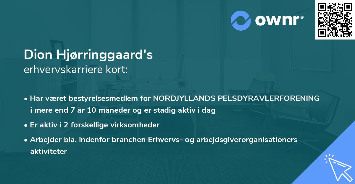 Dion Hjørringgaard's erhvervskarriere kort