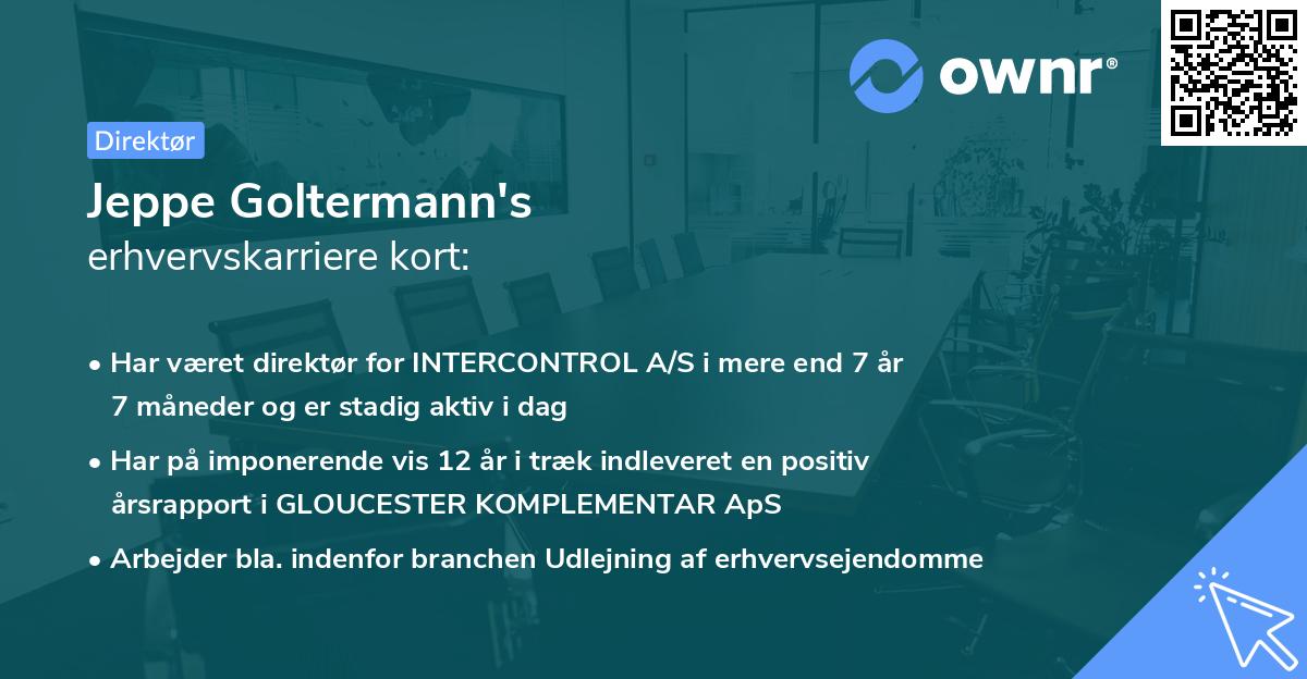 Jeppe Goltermann's erhvervskarriere kort