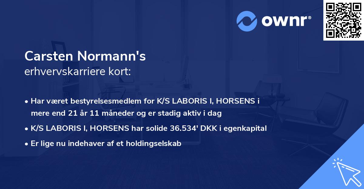 Carsten Normann's erhvervskarriere kort