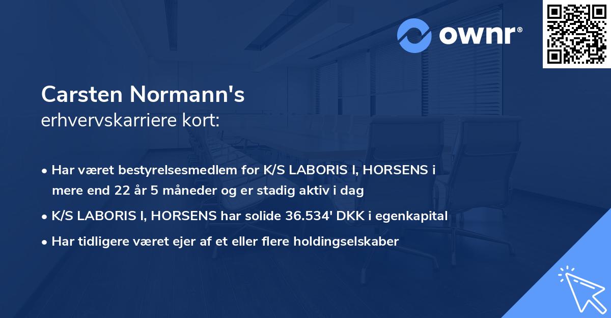 Carsten Normann's erhvervskarriere kort