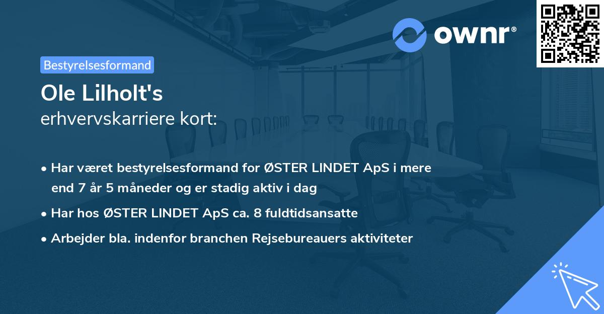 Ole Lilholt's erhvervskarriere kort
