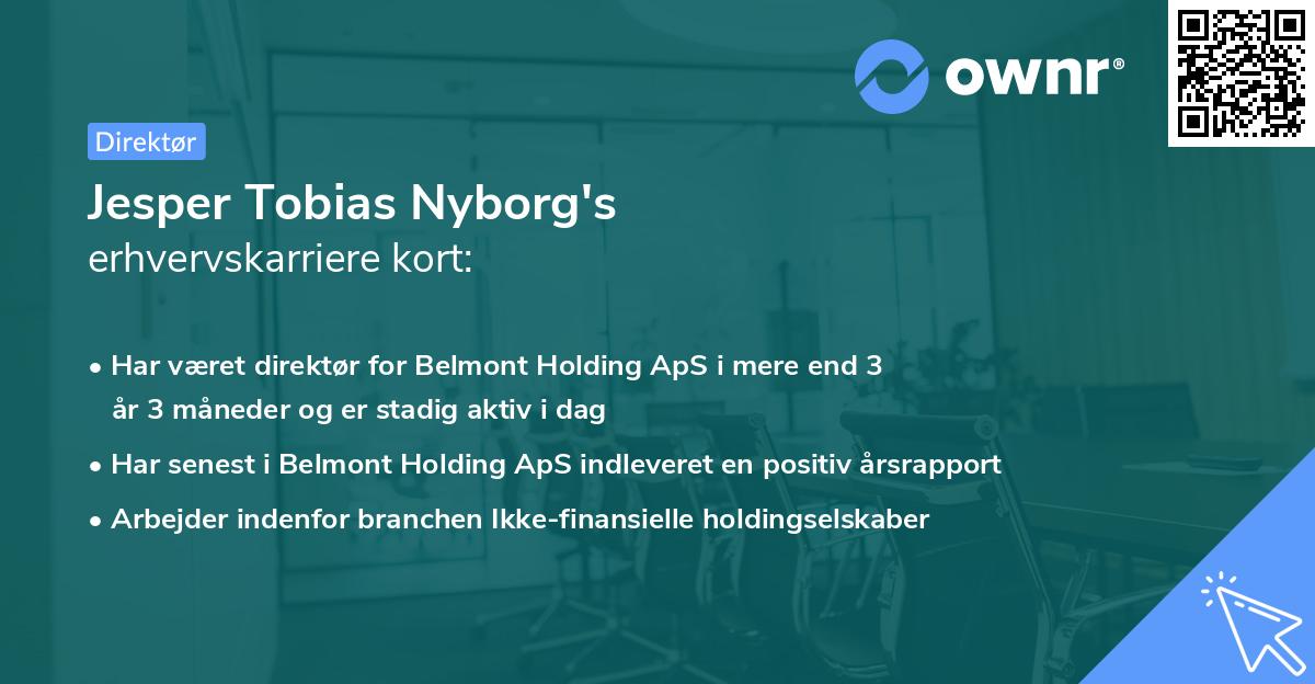 Jesper Tobias Nyborg's erhvervskarriere kort