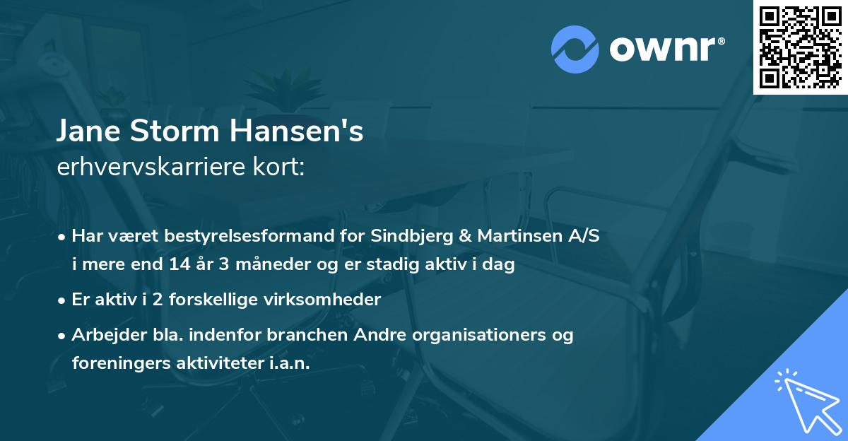 Jane Storm Hansen's erhvervskarriere kort