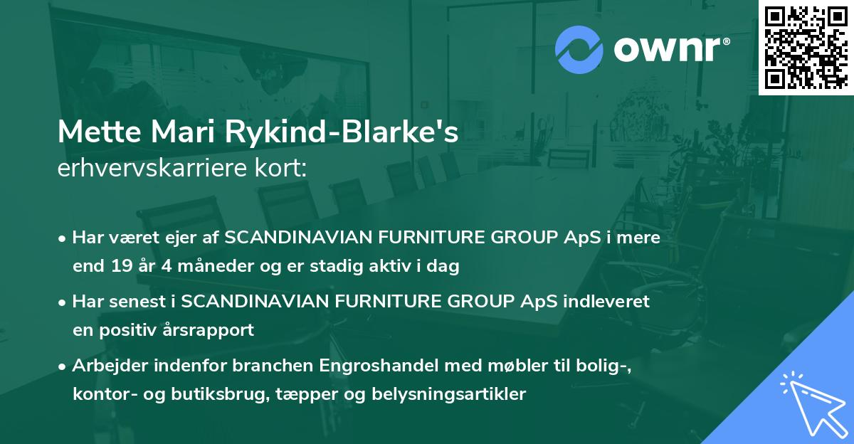 Mette Mari Rykind-Blarke's erhvervskarriere kort