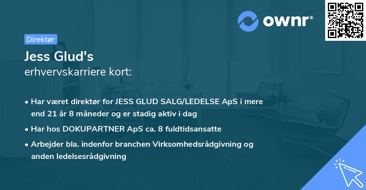 Jess Glud's erhvervskarriere kort