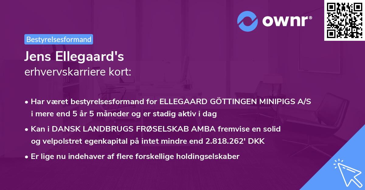 Jens Ellegaard's erhvervskarriere kort