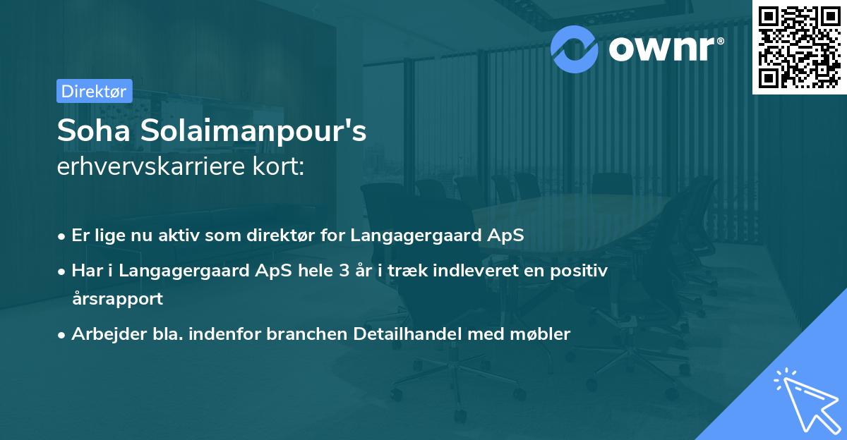 Soha Solaimanpour's erhvervskarriere kort