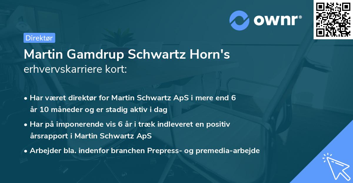 Martin Gamdrup Schwartz Horn's erhvervskarriere kort