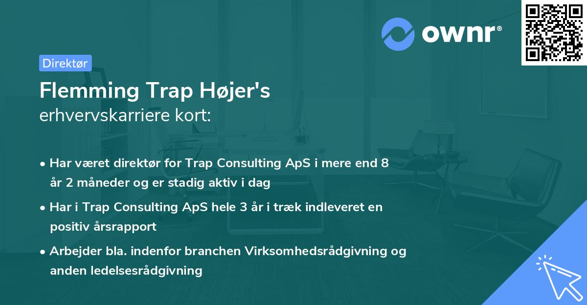 Flemming Trap Højer's erhvervskarriere kort