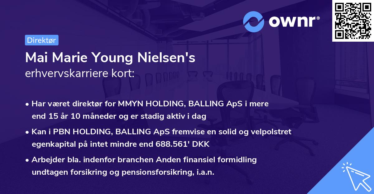 Mai Marie Young Nielsen's erhvervskarriere kort