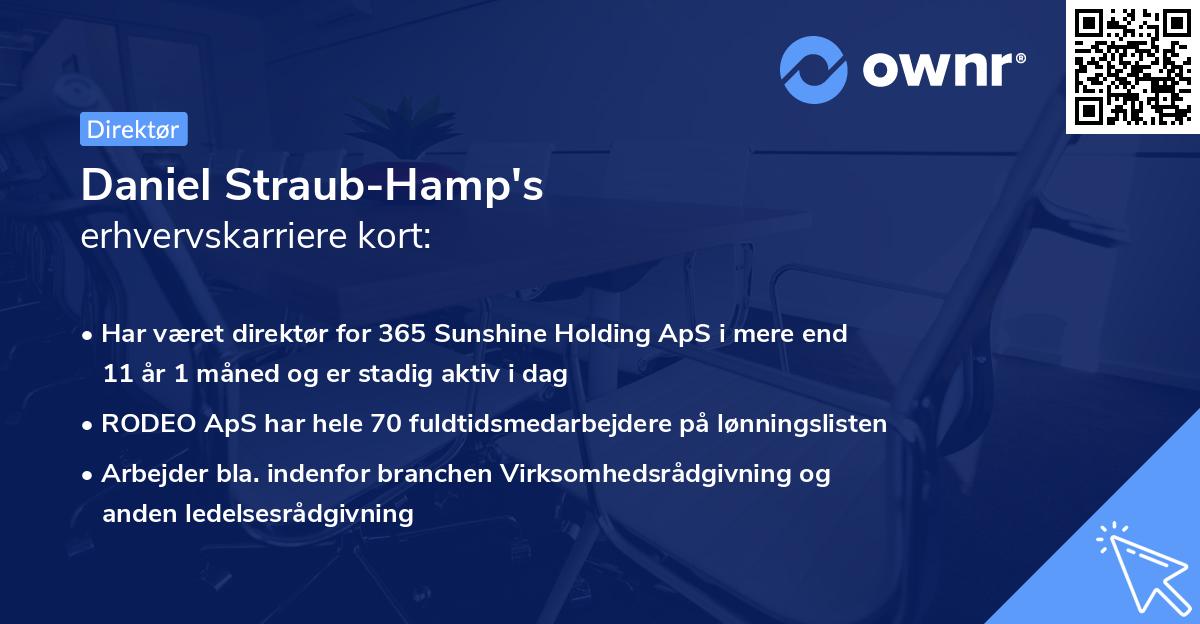 Daniel Straub-Hamp's erhvervskarriere kort