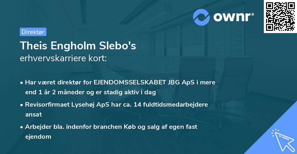 Theis Engholm Slebo's erhvervskarriere kort
