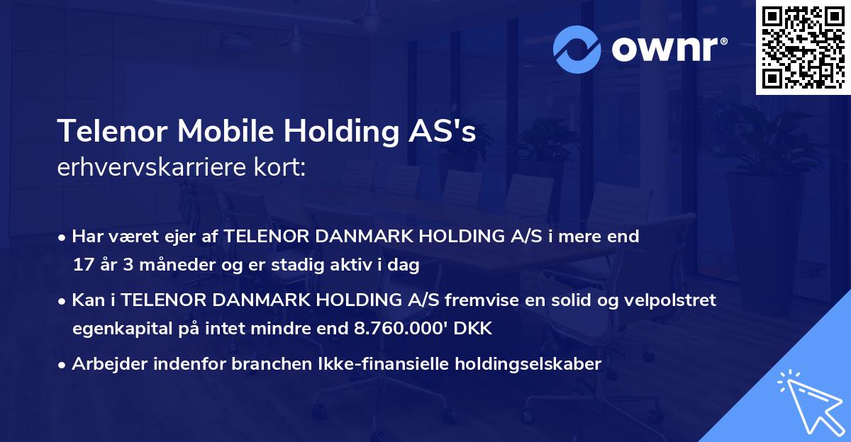 Telenor Mobile Holding AS's erhvervskarriere kort