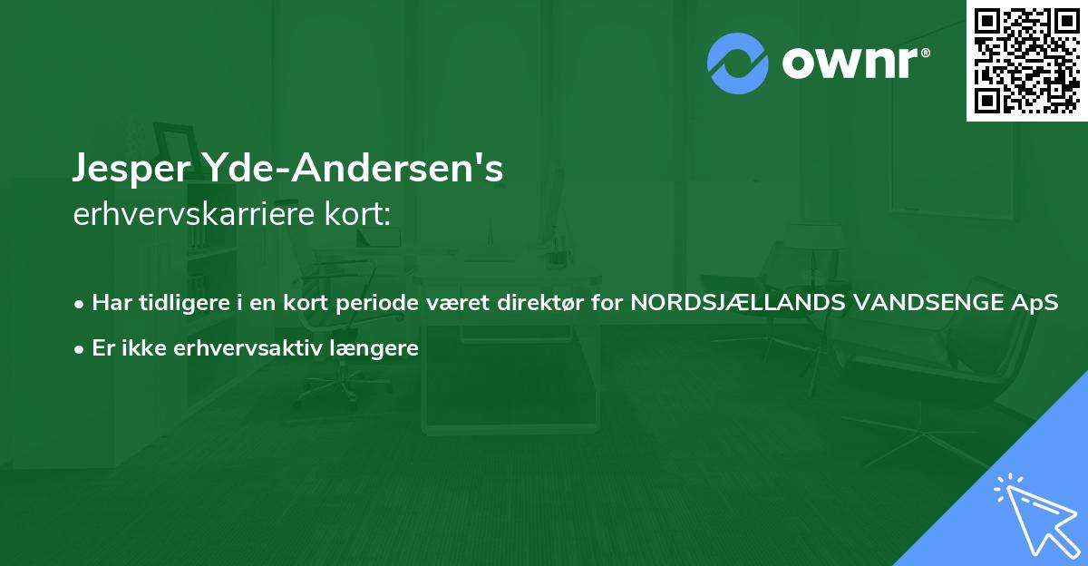 Jesper Yde-Andersen's erhvervskarriere kort