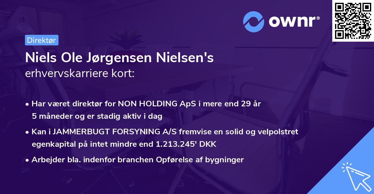 Niels Ole Jørgensen Nielsen's erhvervskarriere kort