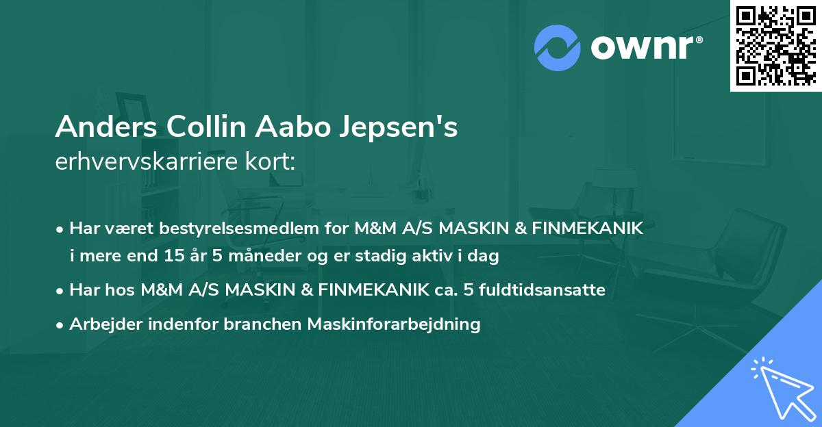 Anders Collin Aabo Jepsen's erhvervskarriere kort