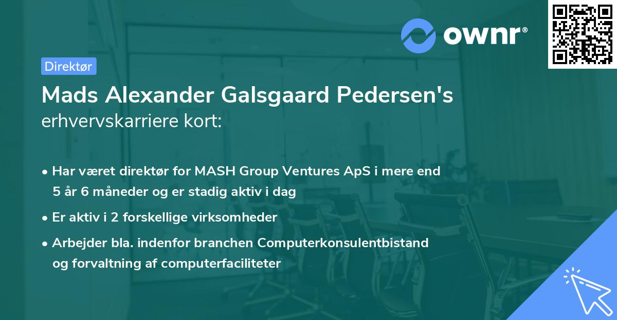 Mads Alexander Galsgaard Pedersen's erhvervskarriere kort