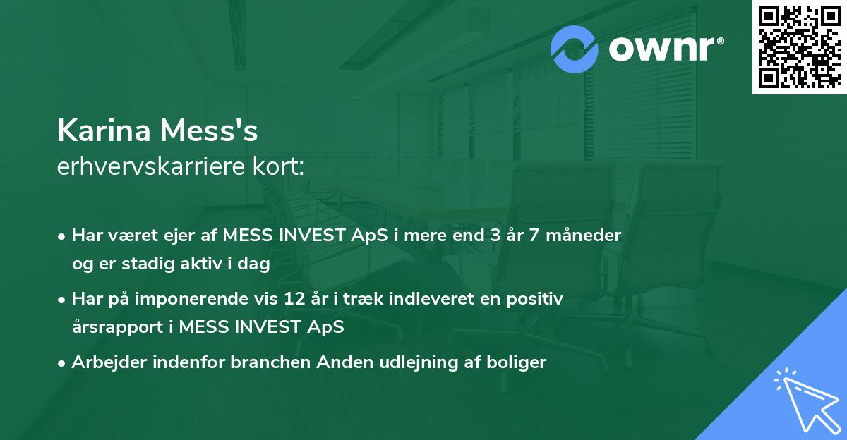 Karina Mess's erhvervskarriere kort