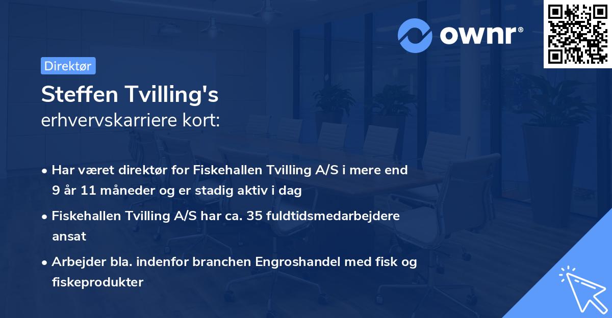 Steffen Tvilling's erhvervskarriere kort