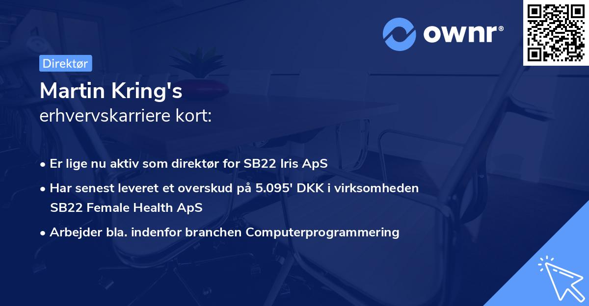 Martin Kring's erhvervskarriere kort