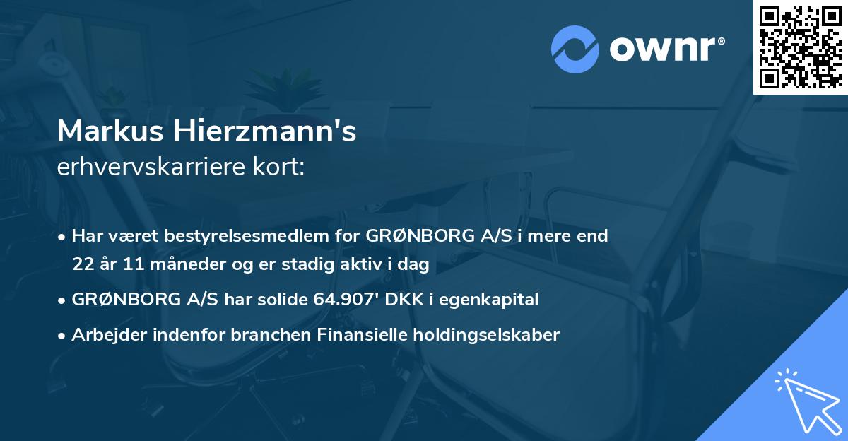Markus Hierzmann's erhvervskarriere kort