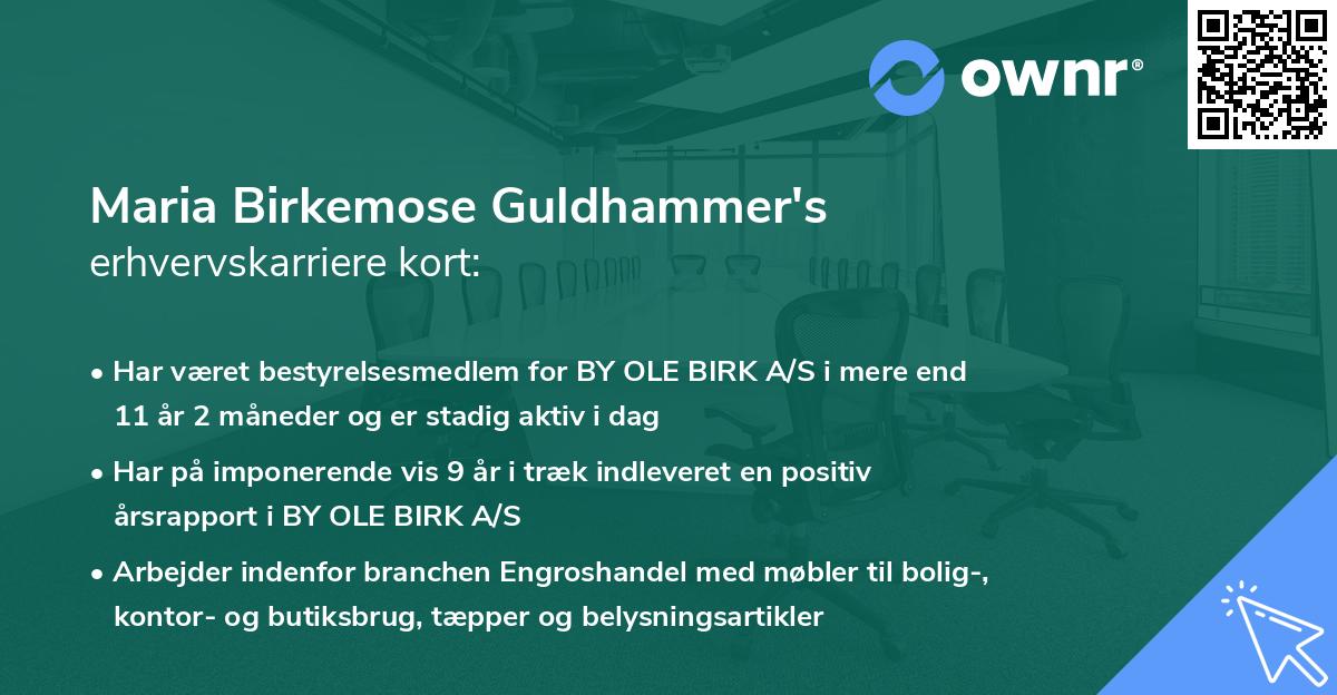 Maria Birkemose Guldhammer's erhvervskarriere kort