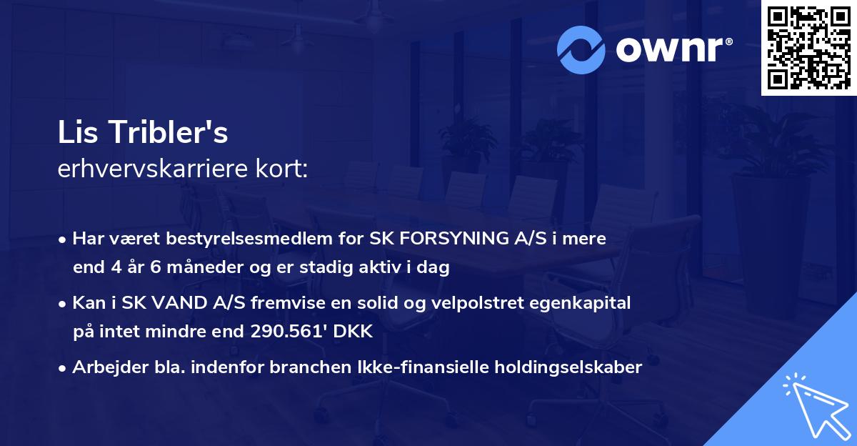 Lis Tribler's erhvervskarriere kort