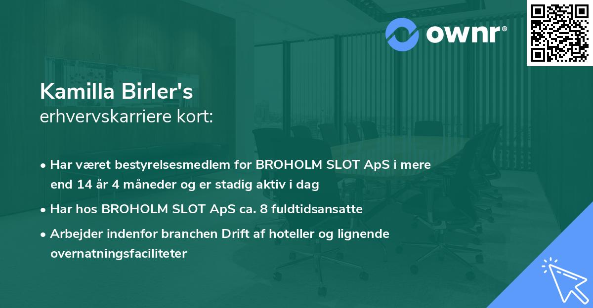 Kamilla Birler's erhvervskarriere kort
