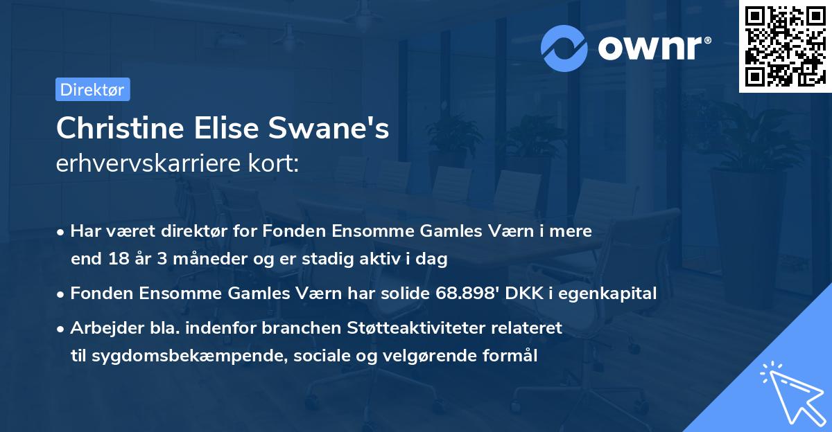 Christine Elise Swane's erhvervskarriere kort