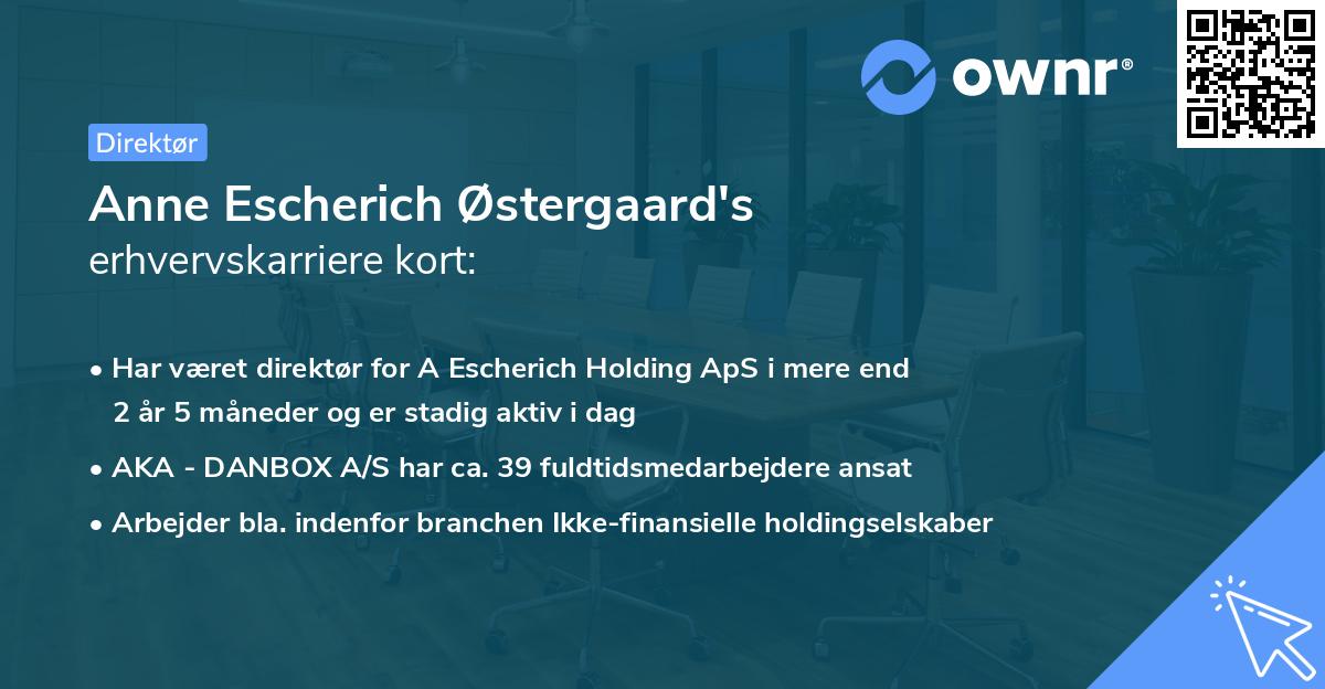 Anne Escherich Østergaard's erhvervskarriere kort