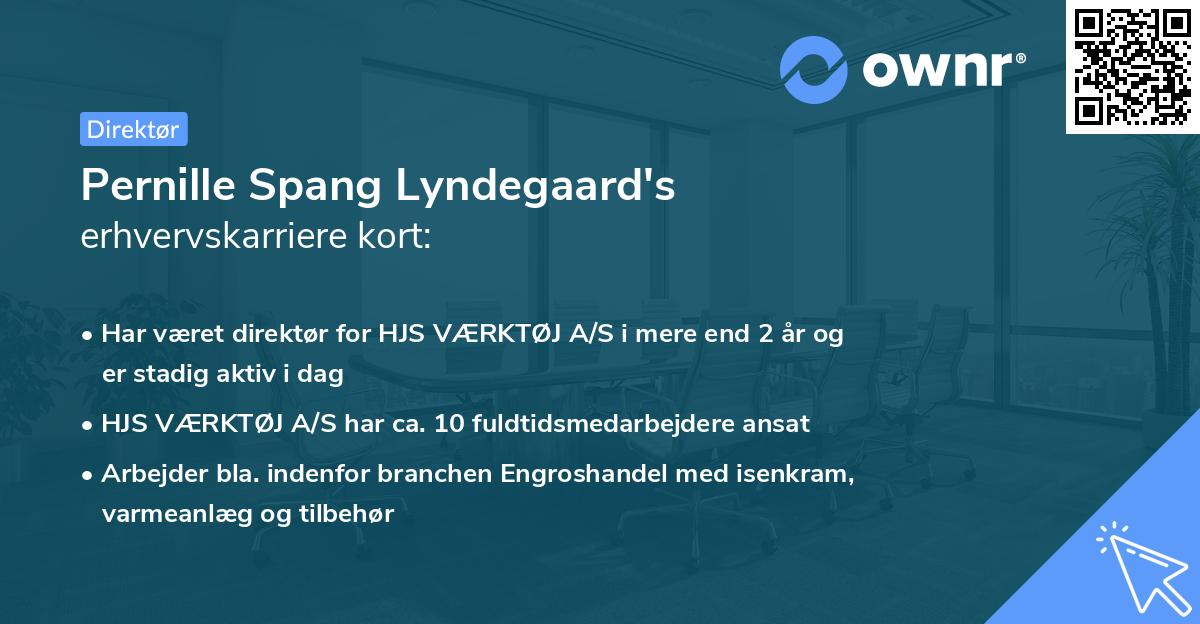 Pernille Spang Lyndegaard's erhvervskarriere kort