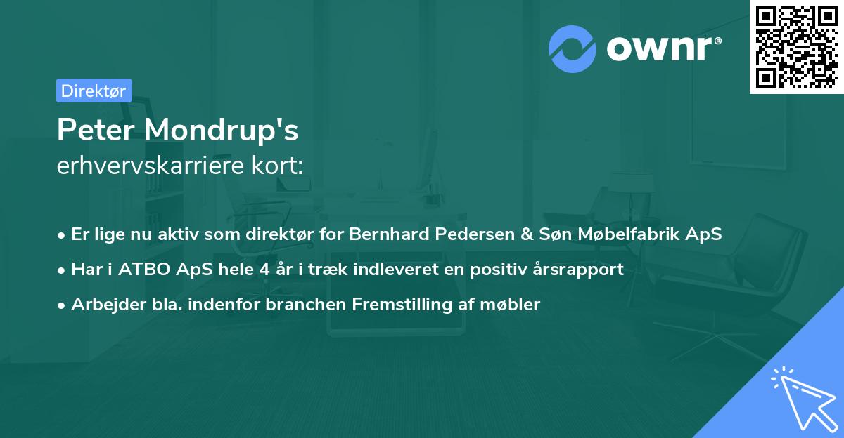 Peter Mondrup's erhvervskarriere kort