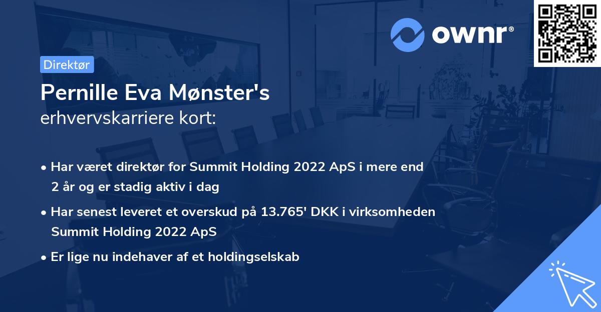 Pernille Eva Mønster's erhvervskarriere kort