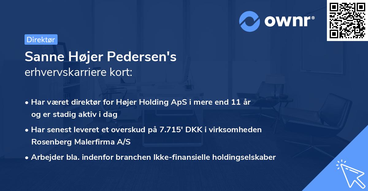 Sanne Højer Pedersen's erhvervskarriere kort