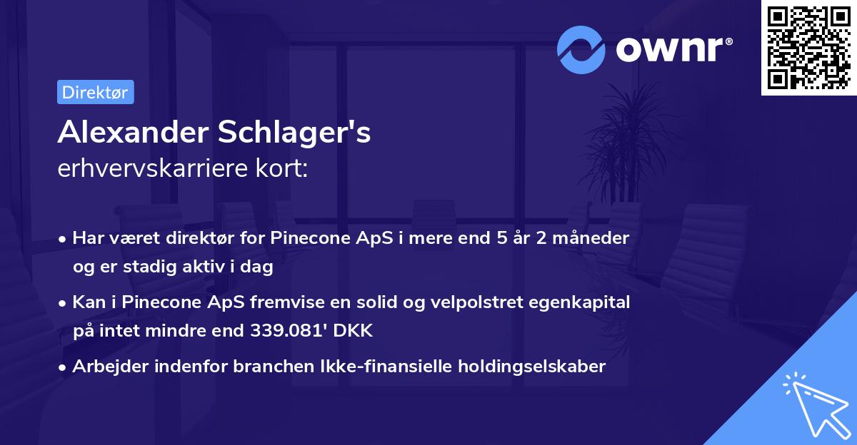 Alexander Schlager's erhvervskarriere kort