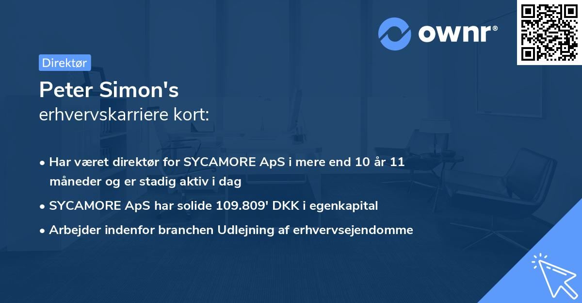 Peter Simon's erhvervskarriere kort