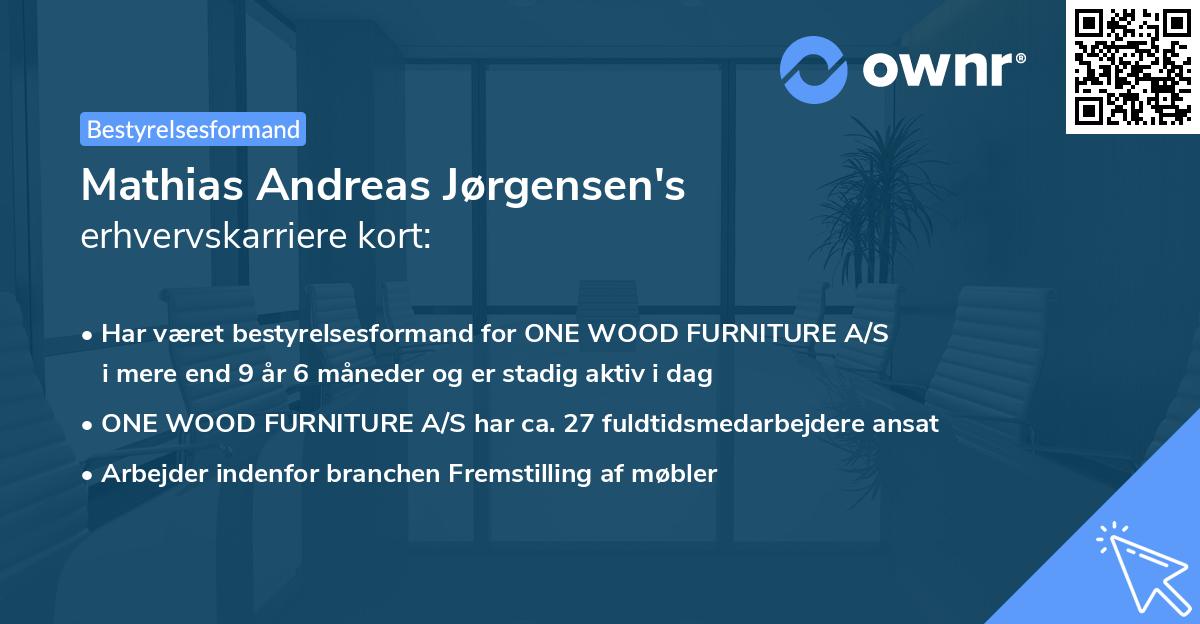 Mathias Andreas Jørgensen's erhvervskarriere kort