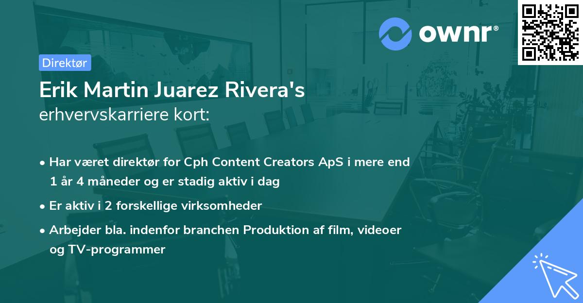 Erik Martin Juarez Rivera's erhvervskarriere kort