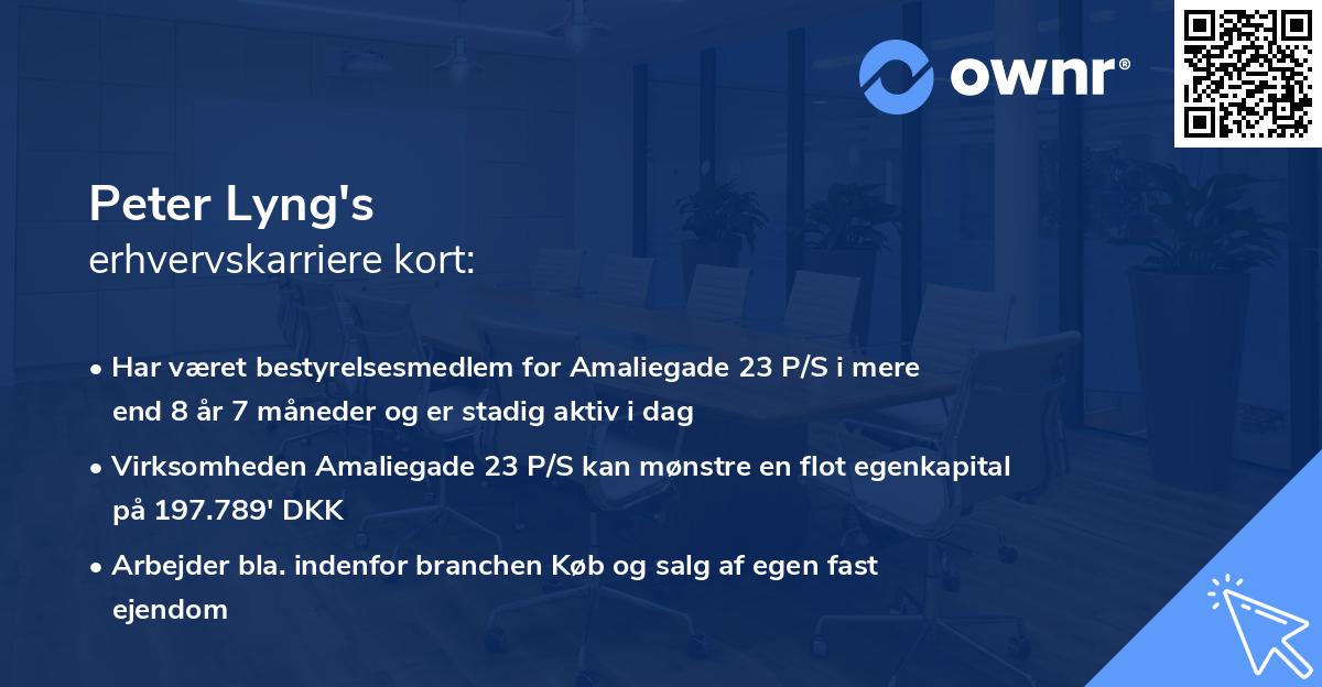 Peter Lyng's erhvervskarriere kort
