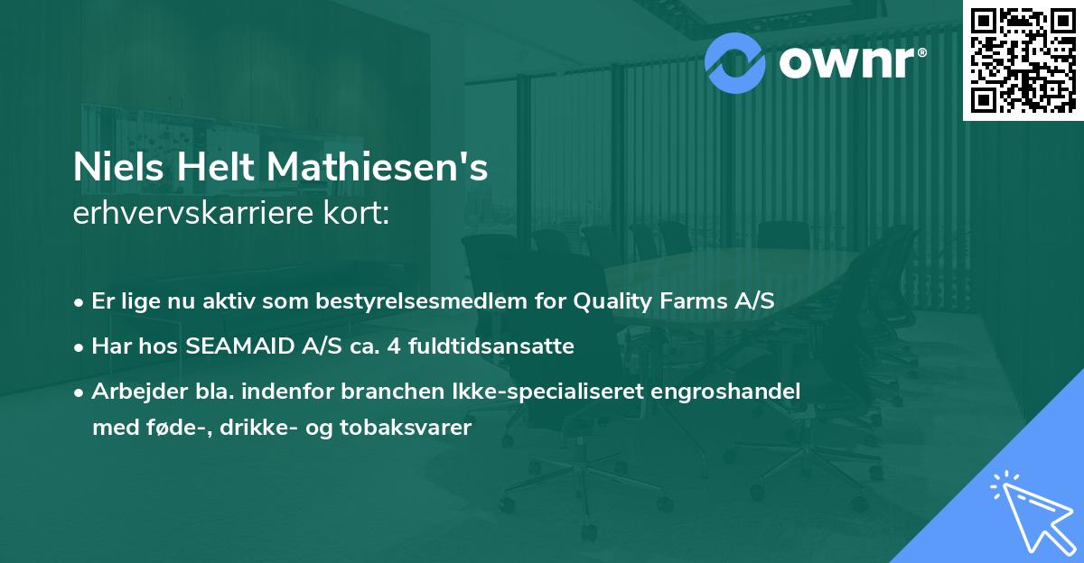 Niels Helt Mathiesen's erhvervskarriere kort