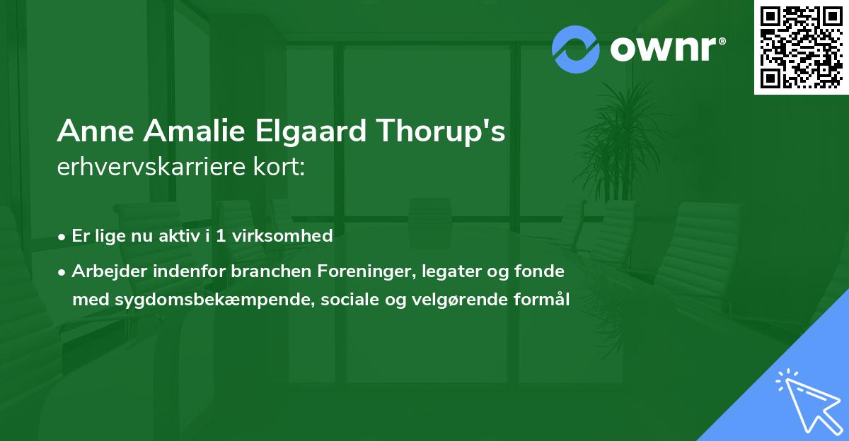 Anne Amalie Elgaard Thorup's erhvervskarriere kort