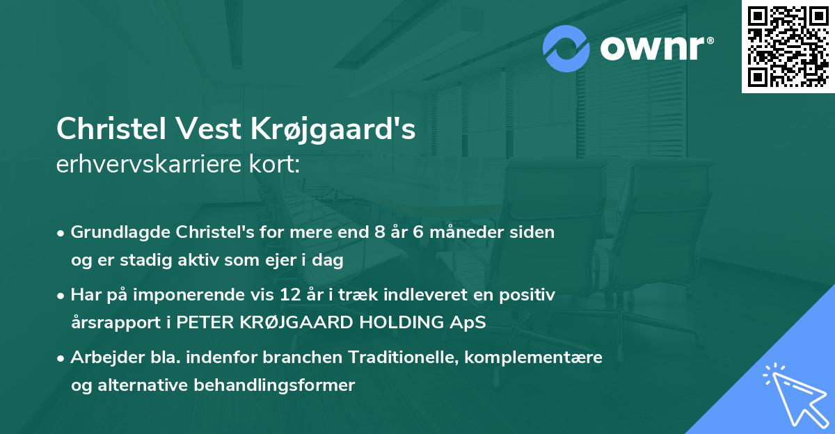 Christel Vest Krøjgaard's erhvervskarriere kort