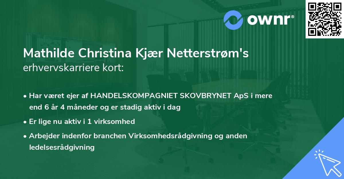 Mathilde Christina Kjær Netterstrøm's erhvervskarriere kort