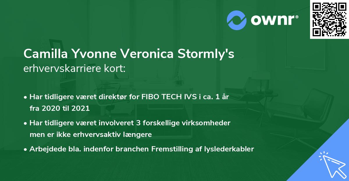 Camilla Yvonne Veronica Stormly's erhvervskarriere kort